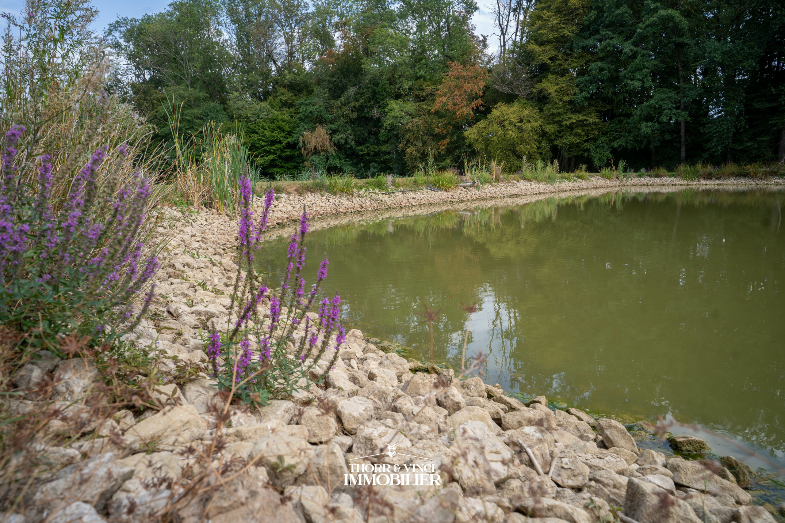 ETANGS-TALMATTEN-10.08.26-29