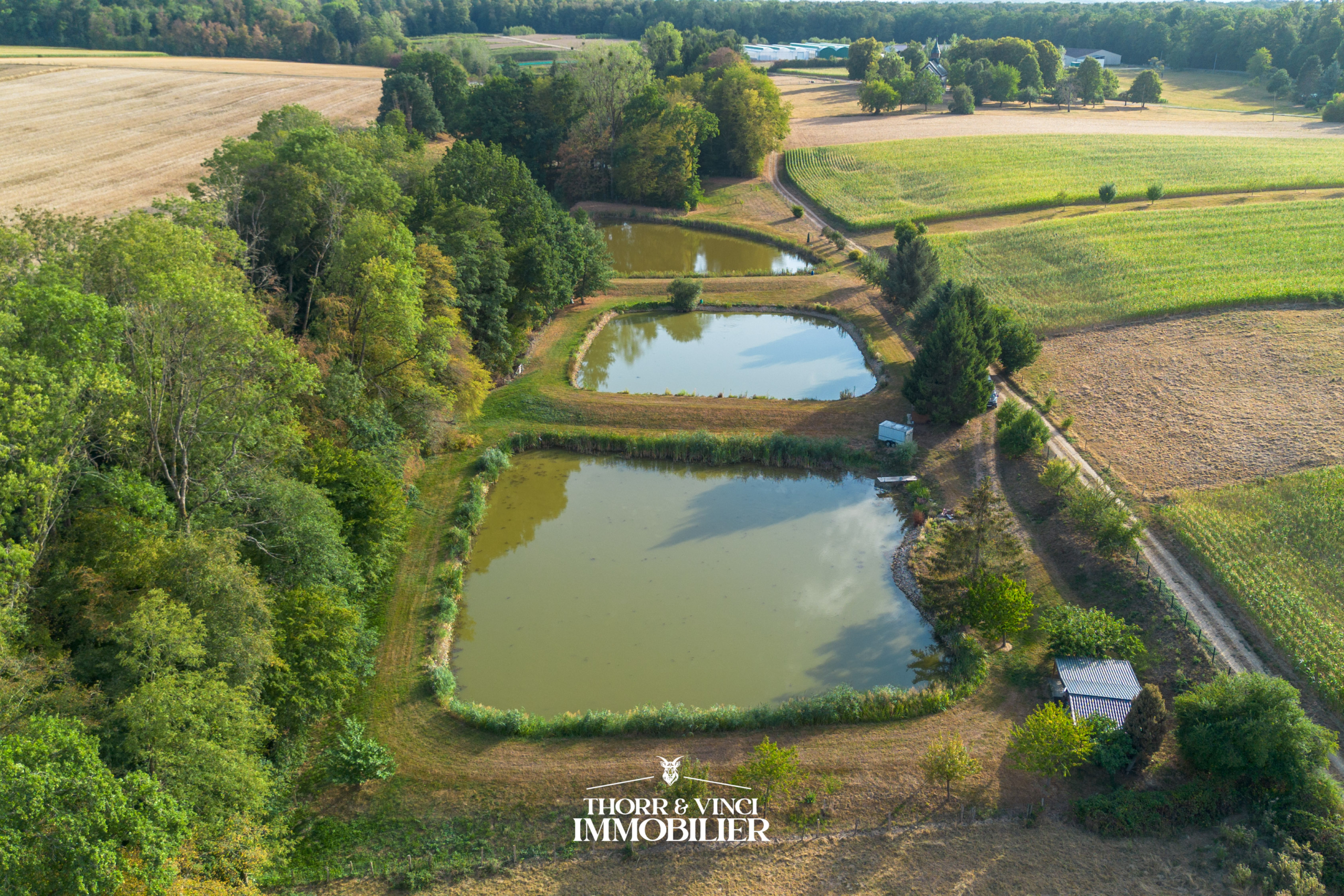 ETANGS-TALMATTEN-10.08.26-34