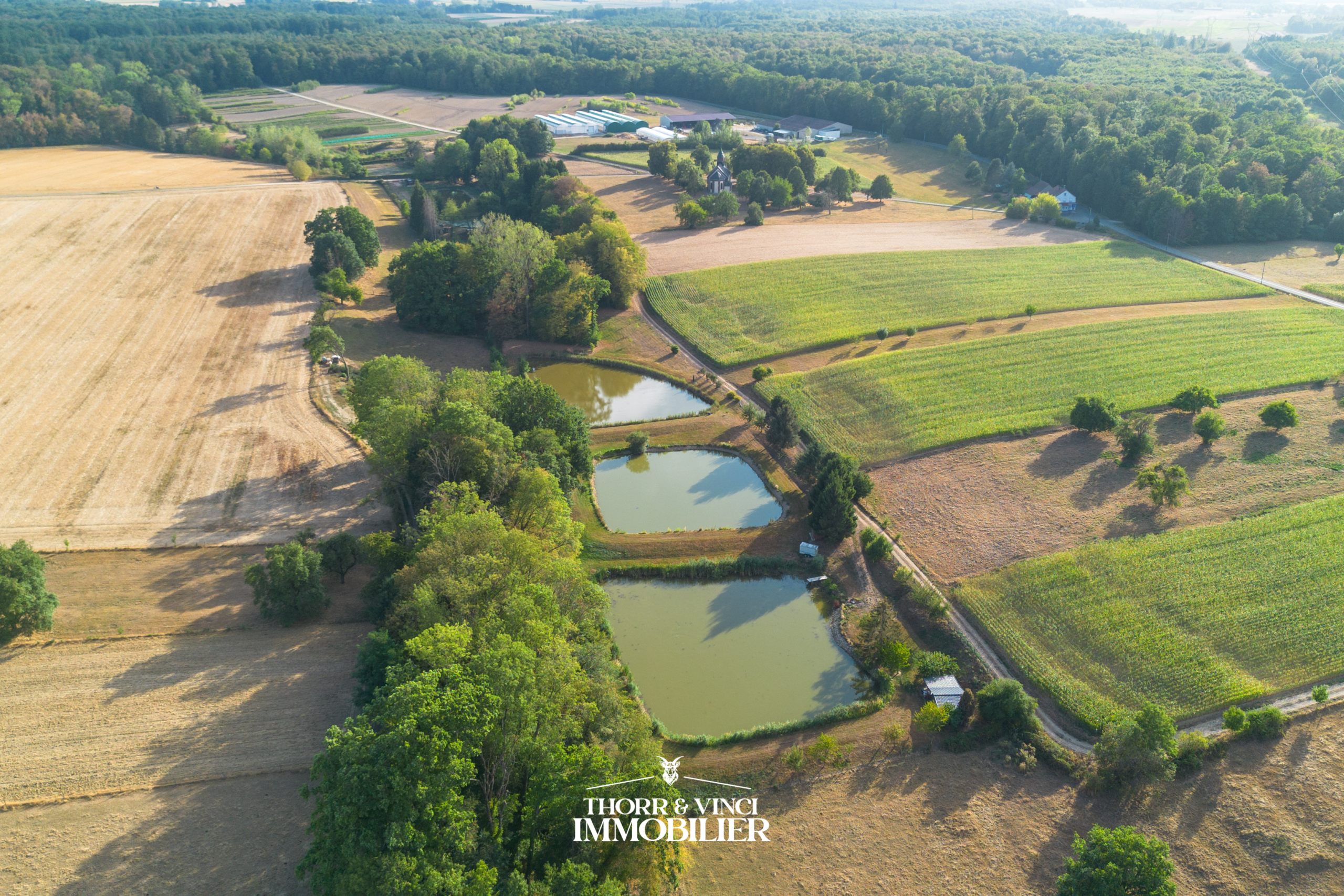 ETANGS-TALMATTEN-10.08.26-36
